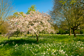 себ 0 рӯйхат